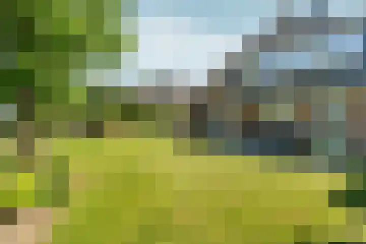 Eikenwal 20 Ottersum thumbnail 36