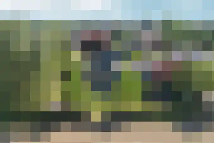 Eikenwal 20 Ottersum thumbnail 37