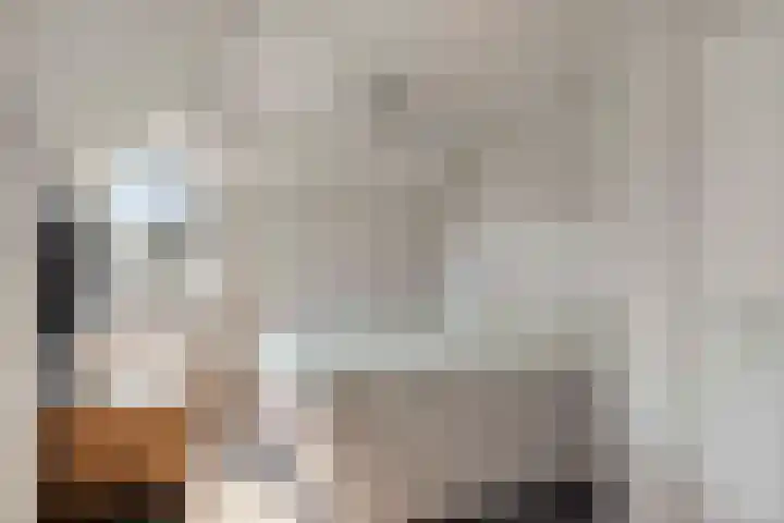 Eikenwal 219 Uden thumbnail 12