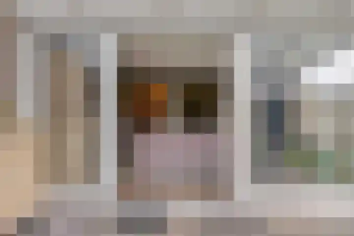 Eikenwal 219 Uden thumbnail 20