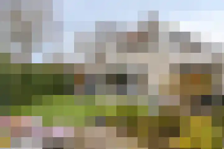 Eikenwal 219 Uden thumbnail 25