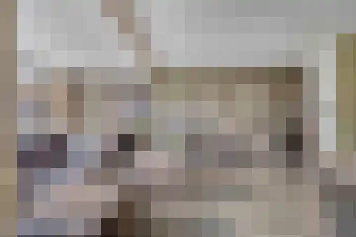 Eikenwal 219 Uden thumbnail 8