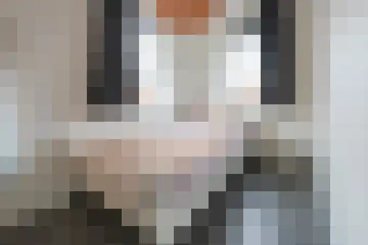 Eikenwal 30 Emmen thumbnail 15