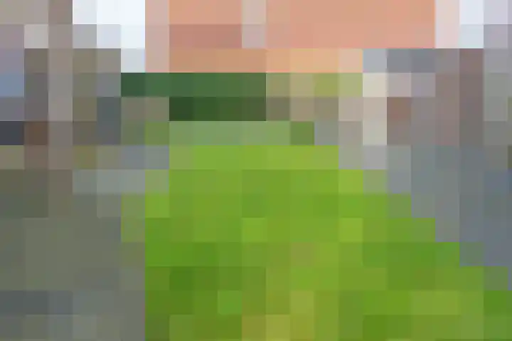 Eikenwal 30 Emmen thumbnail 26