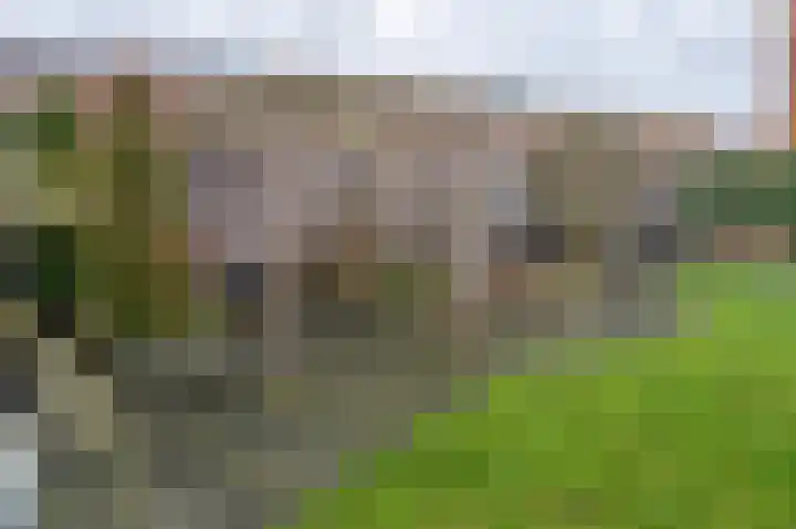 Eikenwal 30 Emmen thumbnail 27