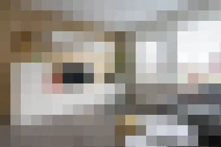 Eikenwal 30 Emmen thumbnail 5