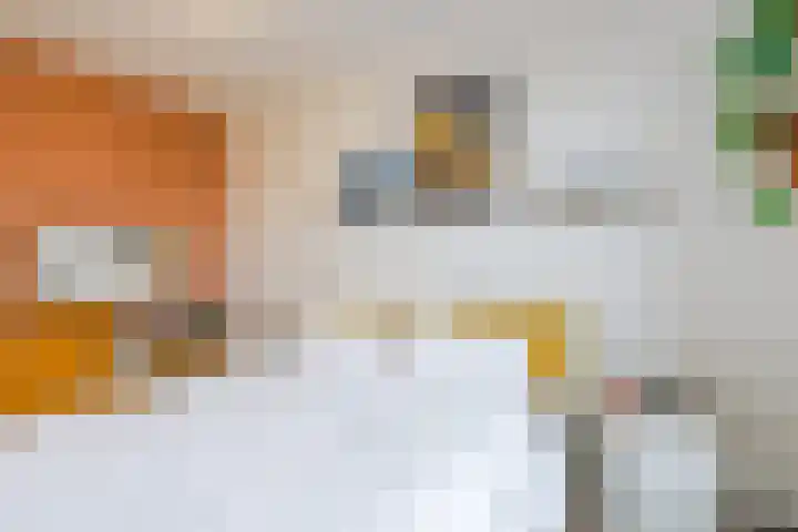 Eikepage 19 Hoogeveen thumbnail 29