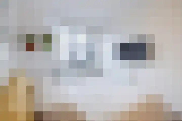 Eikepage 19 Hoogeveen thumbnail 30