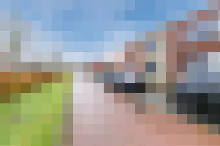 Eikepage 19 Hoogeveen thumbnail 5