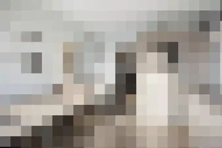 Eikesstraat 13 Hunsel thumbnail 14