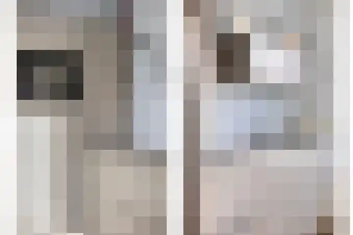 Eikesstraat 13 Hunsel thumbnail 15