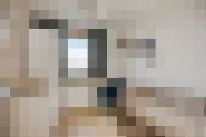 Eikesstraat 13 Hunsel thumbnail 24