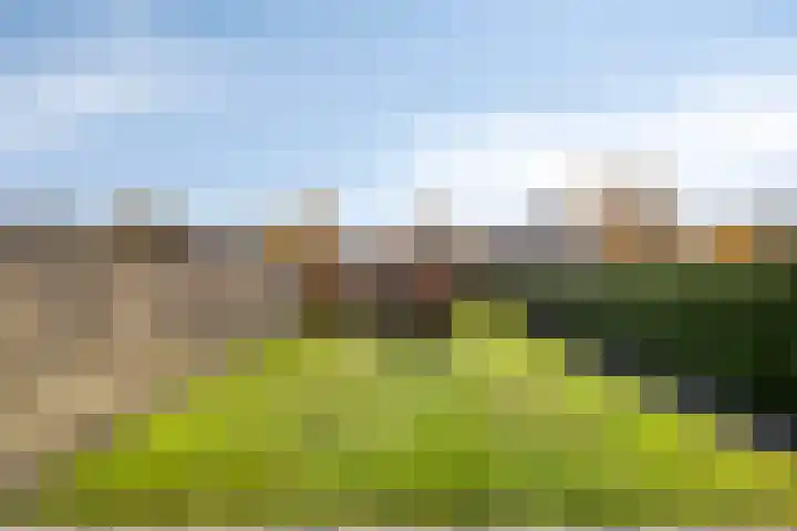 Eikesstraat 13 Hunsel thumbnail 38