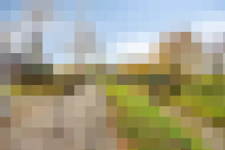Eikesstraat 13 Hunsel thumbnail 51
