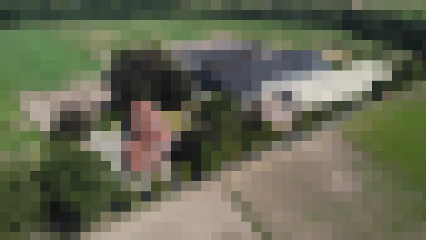 Eikesstraat 43 in Hunsel