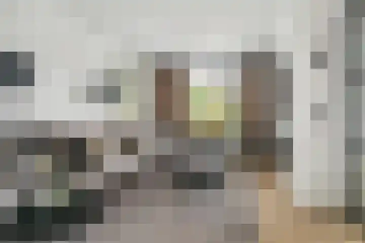 Eikstraat 2 Etten-Leur thumbnail 13
