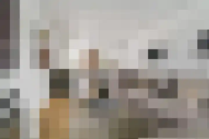 Eikstraat 2 Etten-Leur thumbnail 15