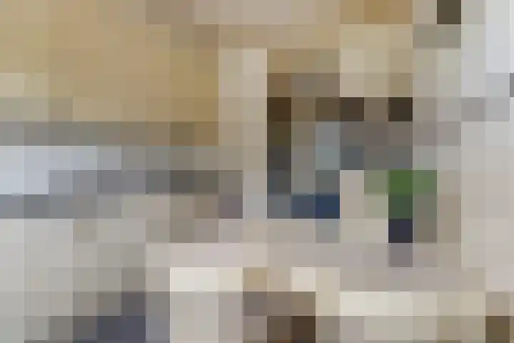 Eikstraat 22 Drunen thumbnail 4