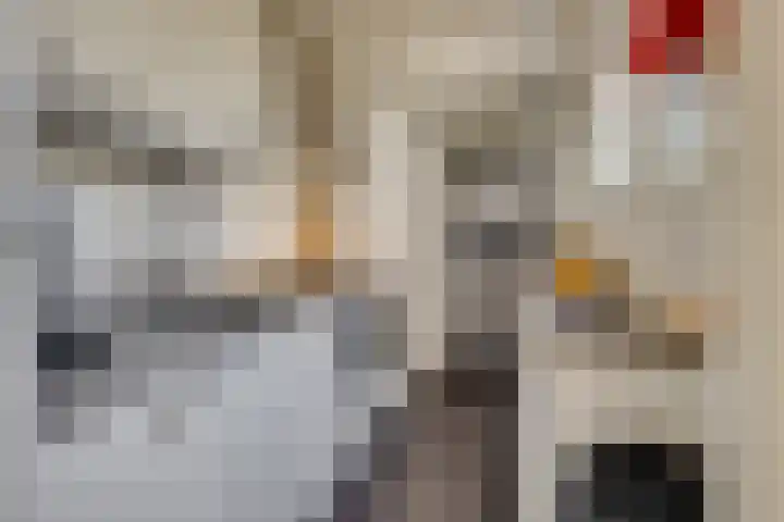 Eikstraat 29 Utrecht thumbnail 14