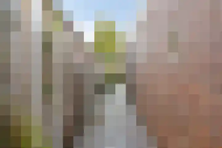Eikstraat 4 Oldenzaal thumbnail 25
