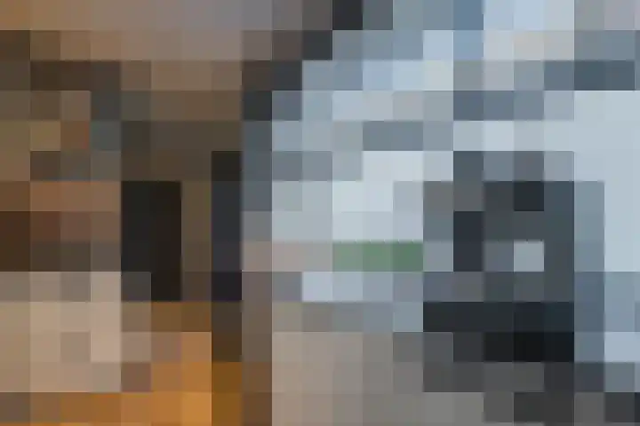 Eikstraat 73 Tilburg thumbnail 15
