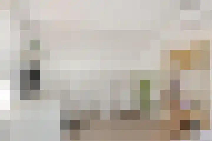 Eikstraat 8 Steenbergen thumbnail 31