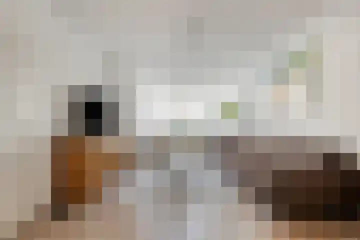 Eikstraat 8 Steenbergen thumbnail 6