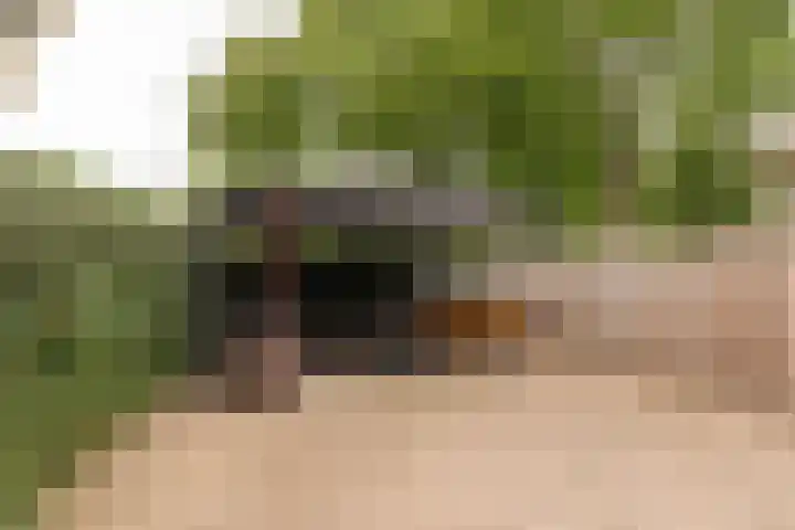 Eikvaren 22 Culemborg thumbnail 23