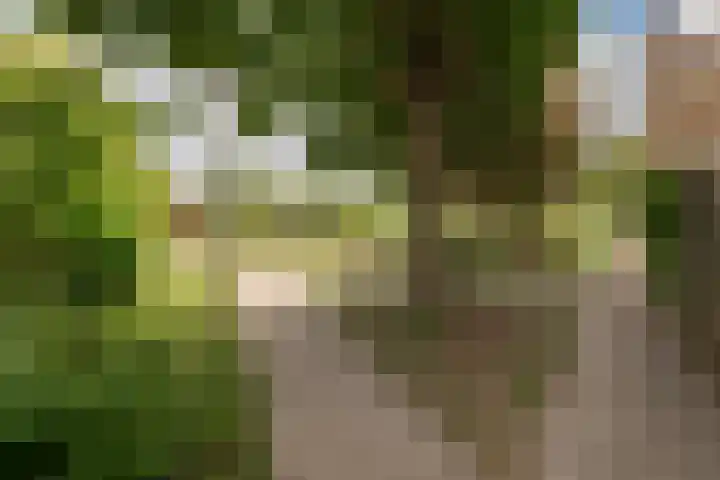 Eikvaren 22 Culemborg thumbnail 40