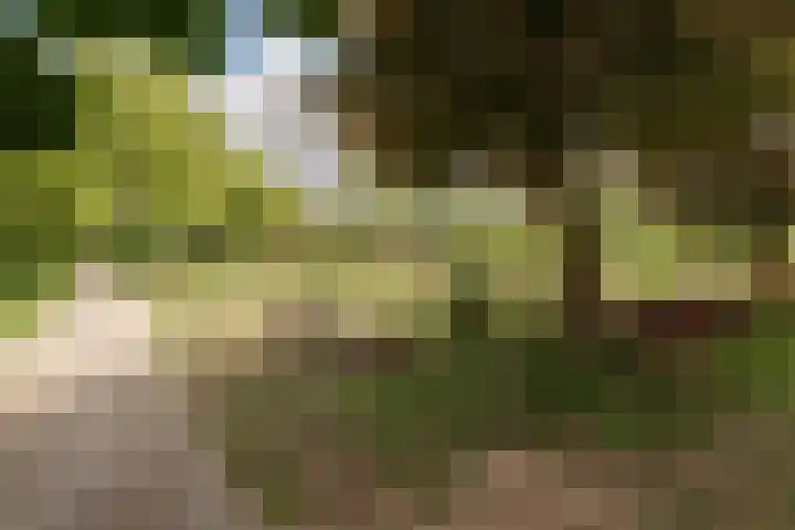 Eikvaren 22 Culemborg thumbnail 41