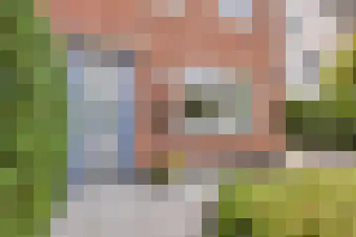 Eiland 14 Maassluis thumbnail 6