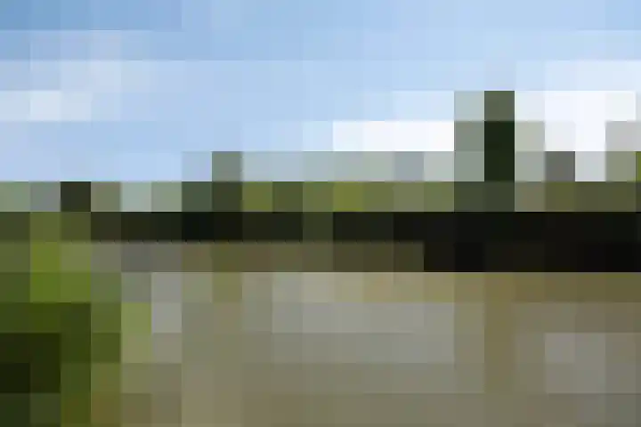 Eiland 14 Maassluis thumbnail 65