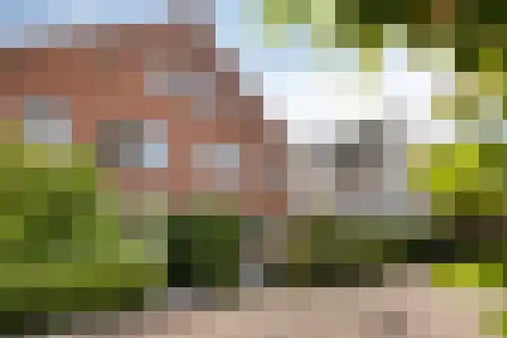 Eiland 14 Maassluis thumbnail 66