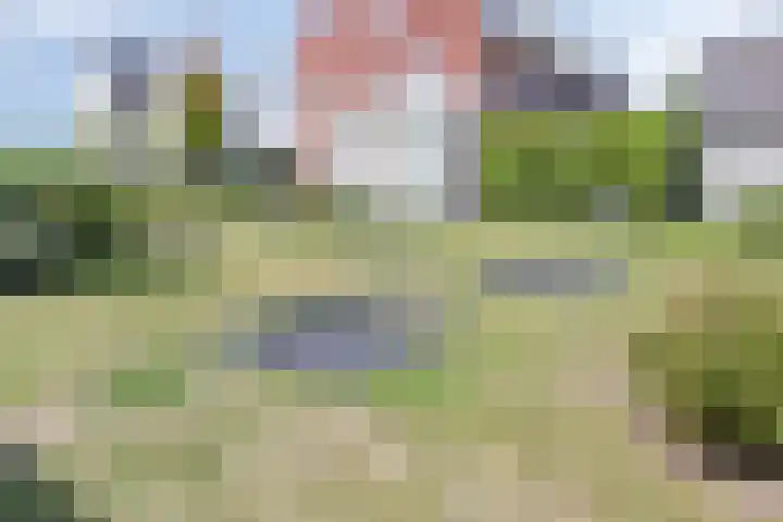 Eiland 14 Maassluis thumbnail 68