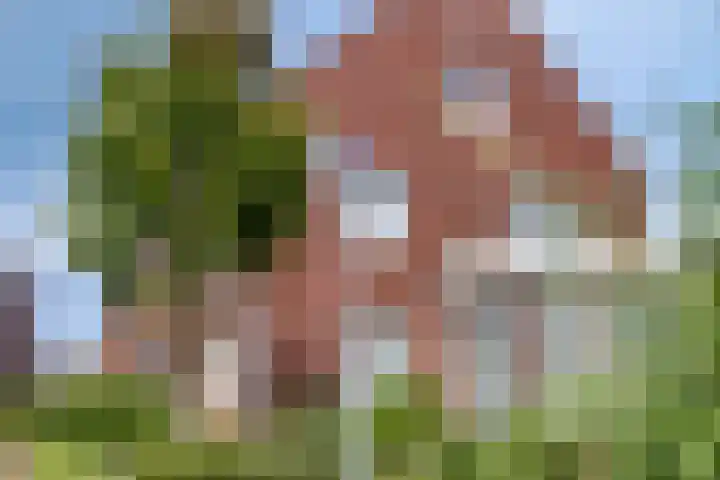 Eiland 14 Maassluis thumbnail 69