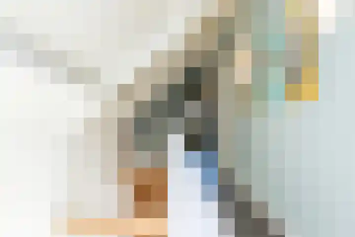 Eiland 30 Stevensweert thumbnail 22