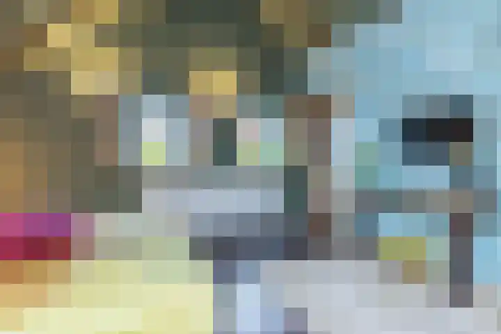 Eiland 30 Stevensweert thumbnail 25