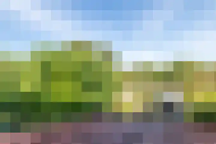 Eiland 30 Stevensweert thumbnail 38