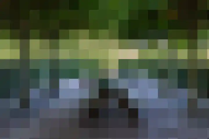 Eiland 30 Stevensweert thumbnail 41