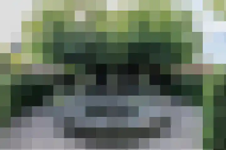 Eiland 30 Stevensweert thumbnail 43