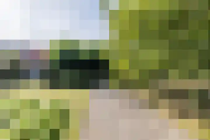 Eiland 30 Stevensweert thumbnail 45