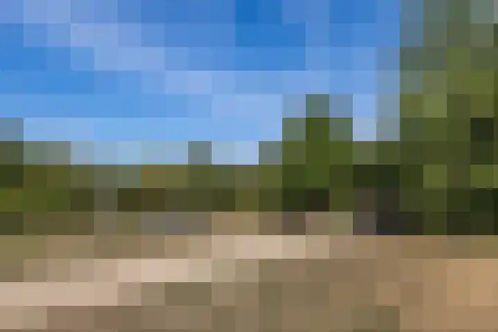Eiland 30 Stevensweert thumbnail 47