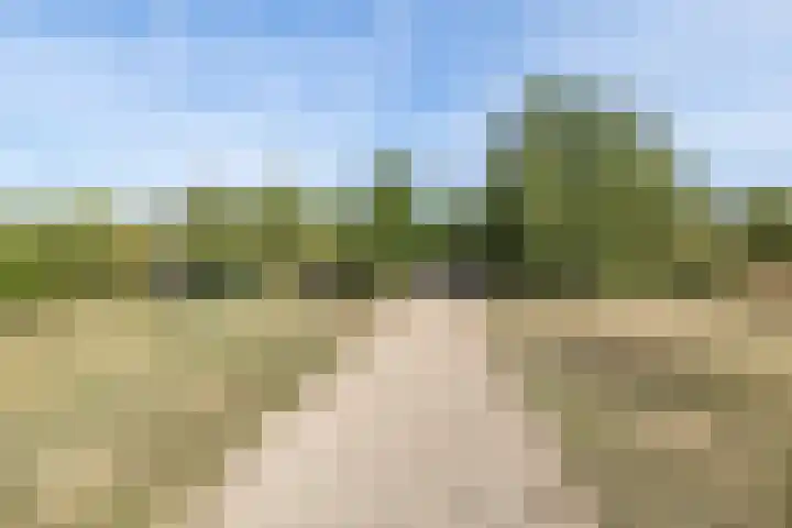 Eiland 30 Stevensweert thumbnail 48