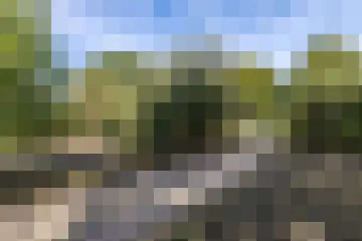 Eiland 30 Stevensweert thumbnail 49