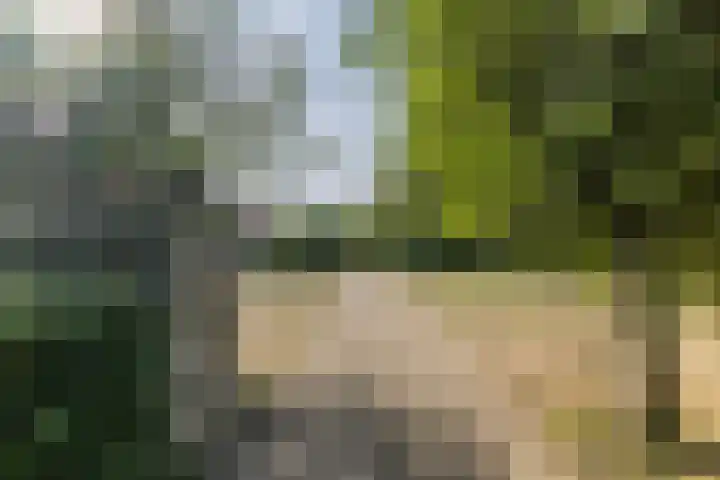 Eiland 30 Stevensweert thumbnail 50