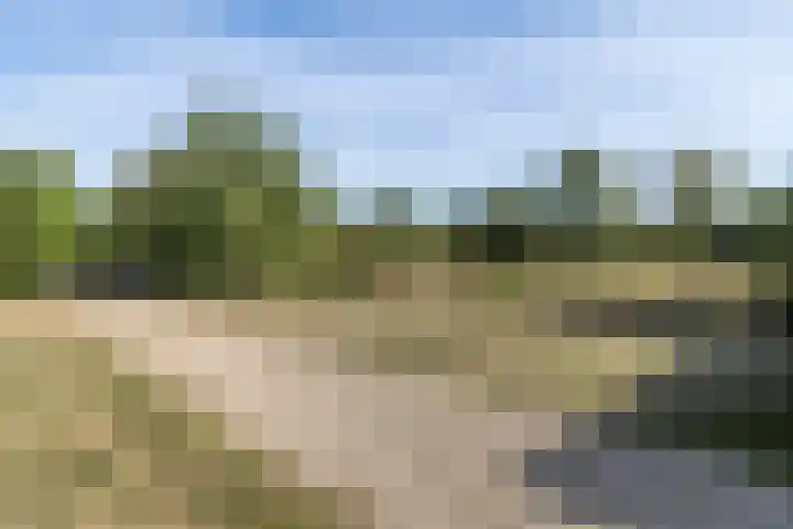 Eiland 30 Stevensweert thumbnail 53