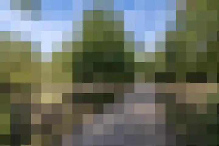 Eiland 30 Stevensweert thumbnail 54