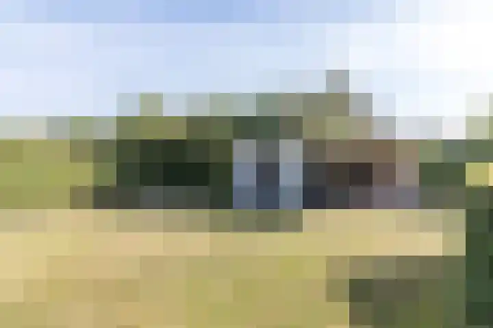 Eiland 30 Stevensweert thumbnail 55