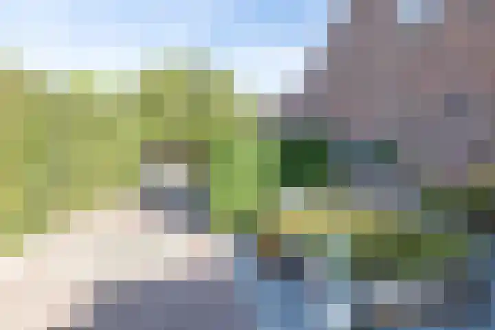 Eiland 30 Stevensweert thumbnail 56
