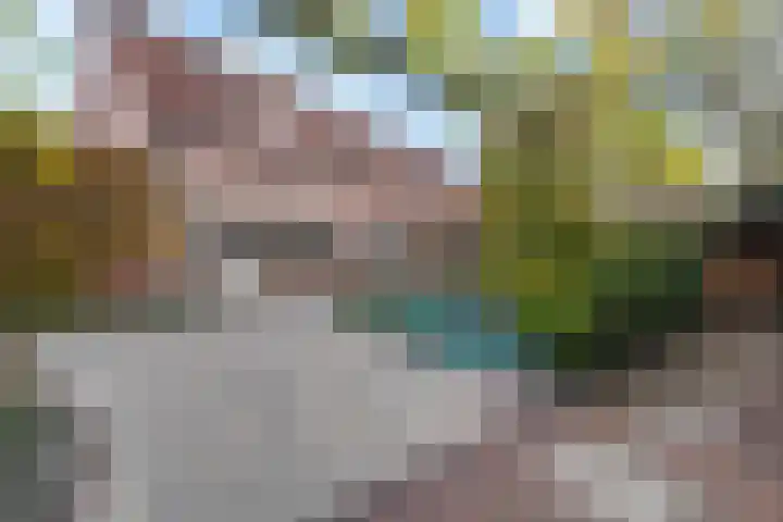 Eiland van Maurik 7 K123 in Maurik